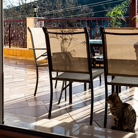 아파트 Martha's House Kefalonia *