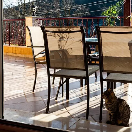 Apartment Martha's House Kefalonia *